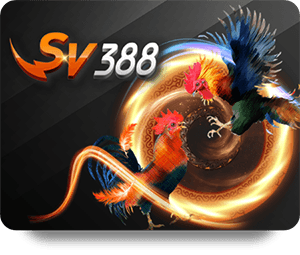 868VIP Bóng Đá Pro: Đánh Giá Và Đánh Giá Người Dùng